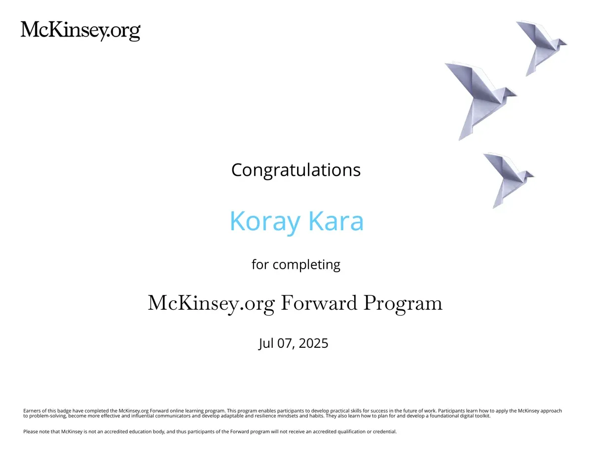 Scan mit geschwärzten personenbezogenen Daten: McKinsey.org Forward Program