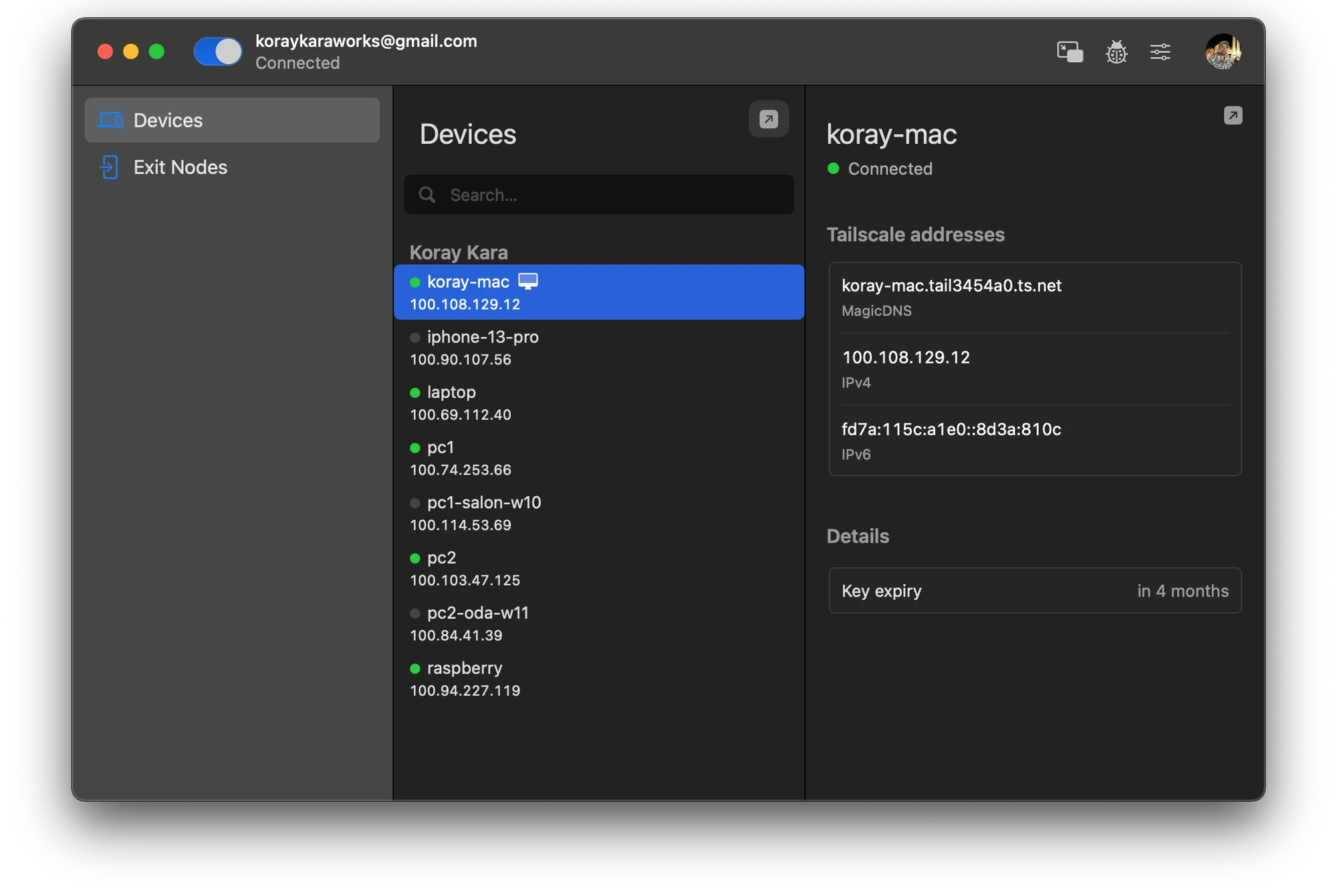 Tailscale mesh network of the devices
